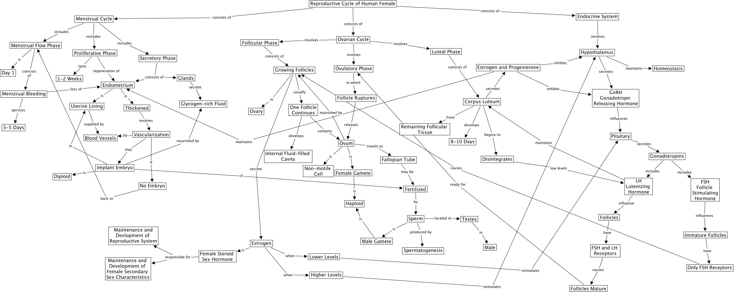 Reproductive Cycle Of Human Female Edu 487